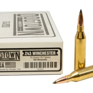 Buy Dogtown 243 Winchester Ammo 70 Grain UK | Bulk